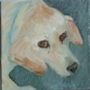 Bruce (oil, 5 x 5)